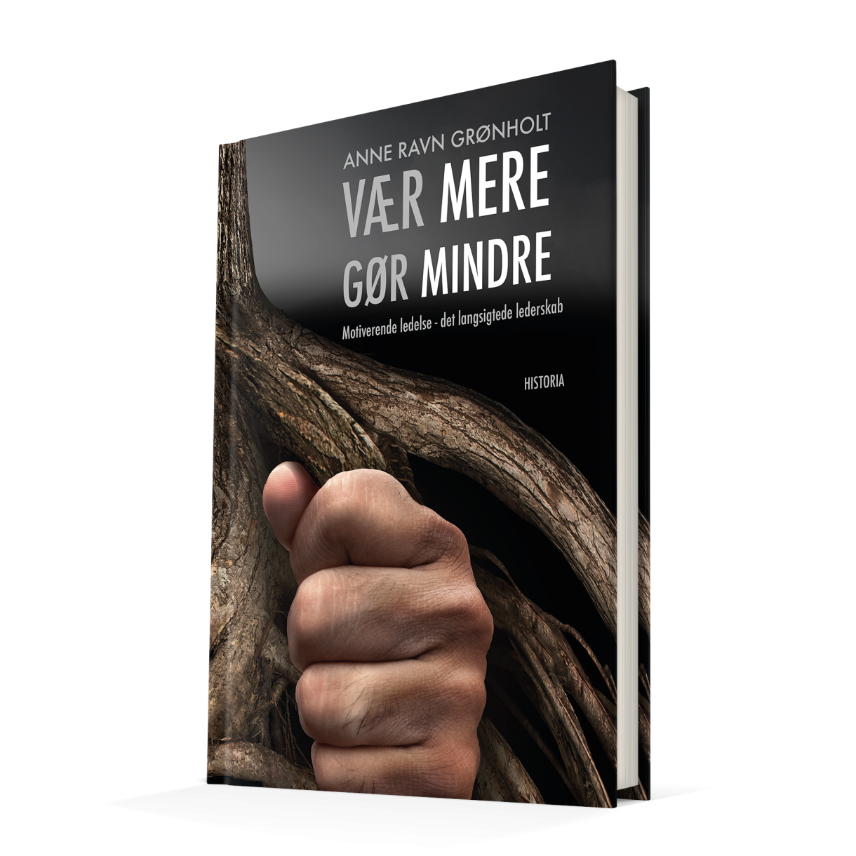 Vaer_mere3d-1.w1220.h1220.fill